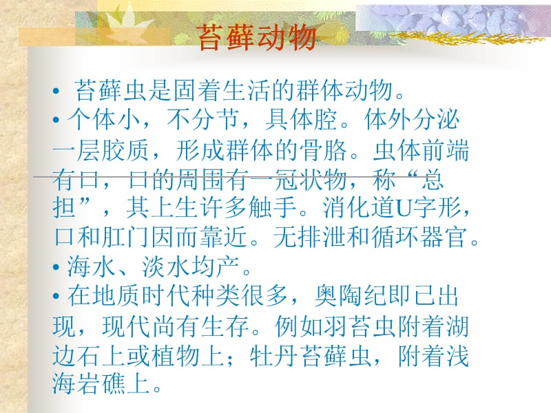 10-deuterostomes触手冠、棘皮、半索、原索讲解学习_第1页