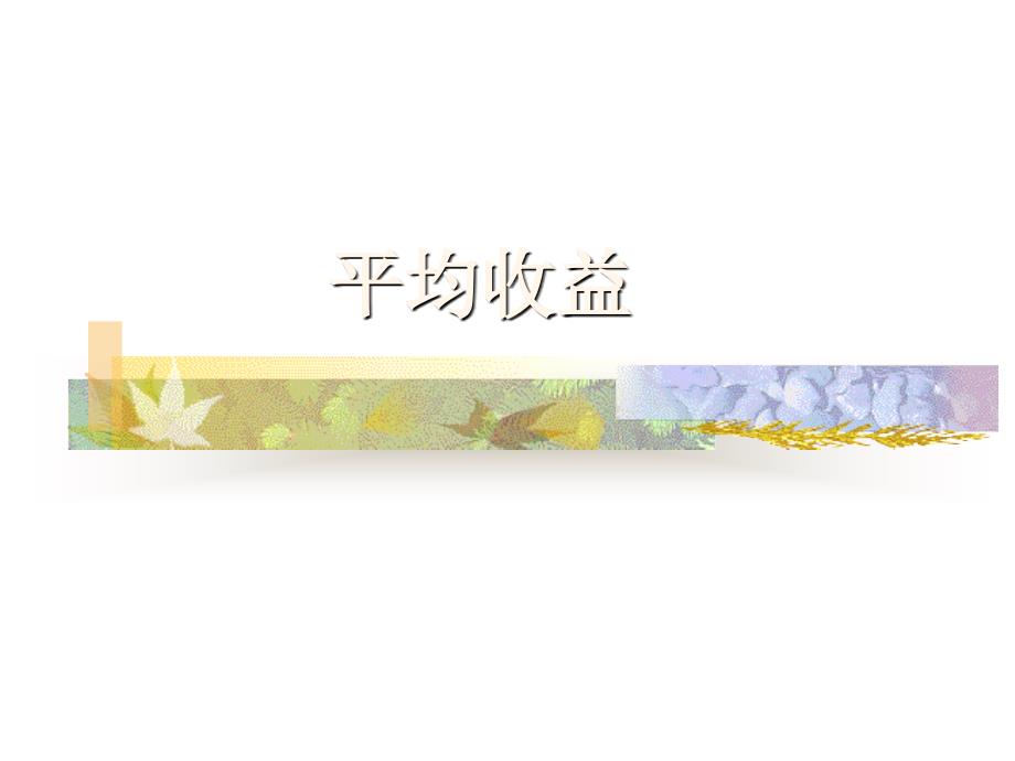 《平均收益》课件_第1页