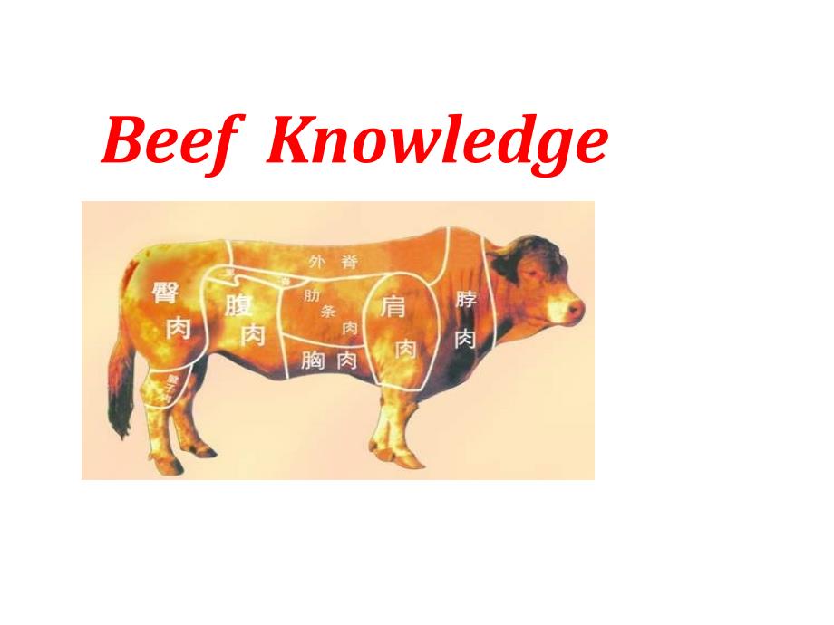 {企业通用培训}牛肉讲义_第1页