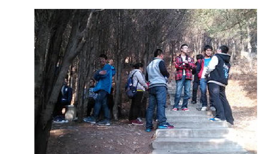 鲁人版道德与法治七上第六课第2框《走自立自强之路》ppt课件_第1页
