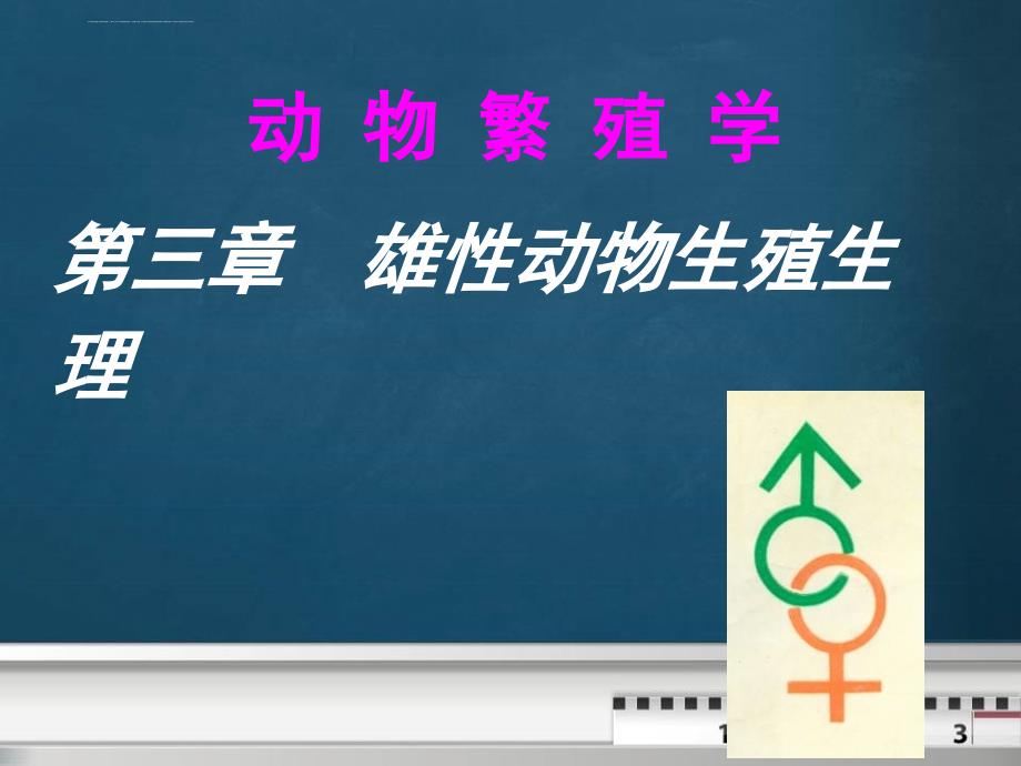 动物繁殖学课件第03章_第1页