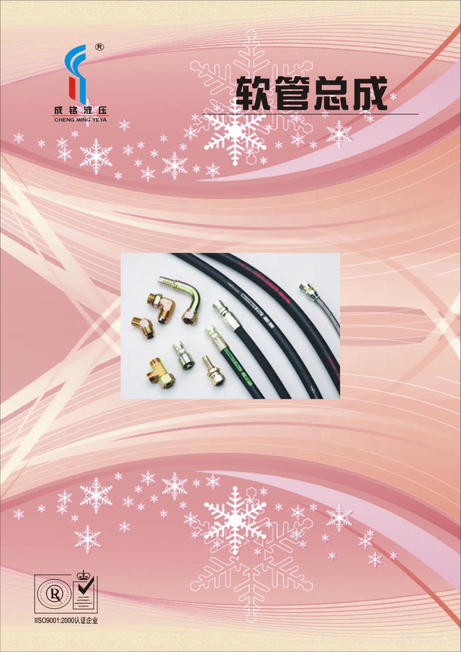 液压软管总成.pdf_第1页