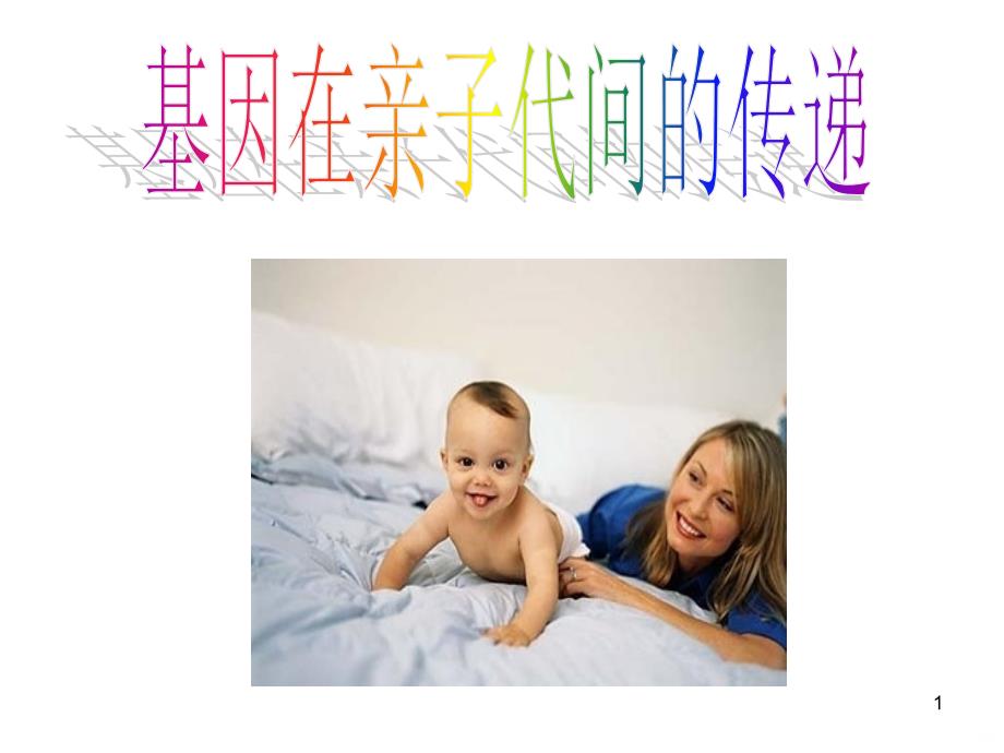 第二节 基因在亲子代间的传递PPT课件_第1页