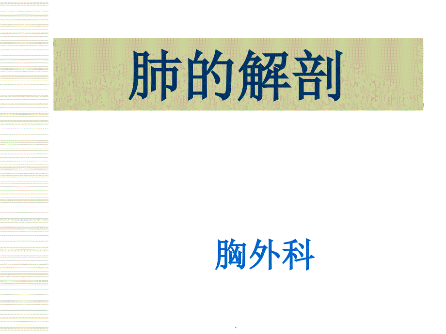 肺的解剖及分段最新版_第1页