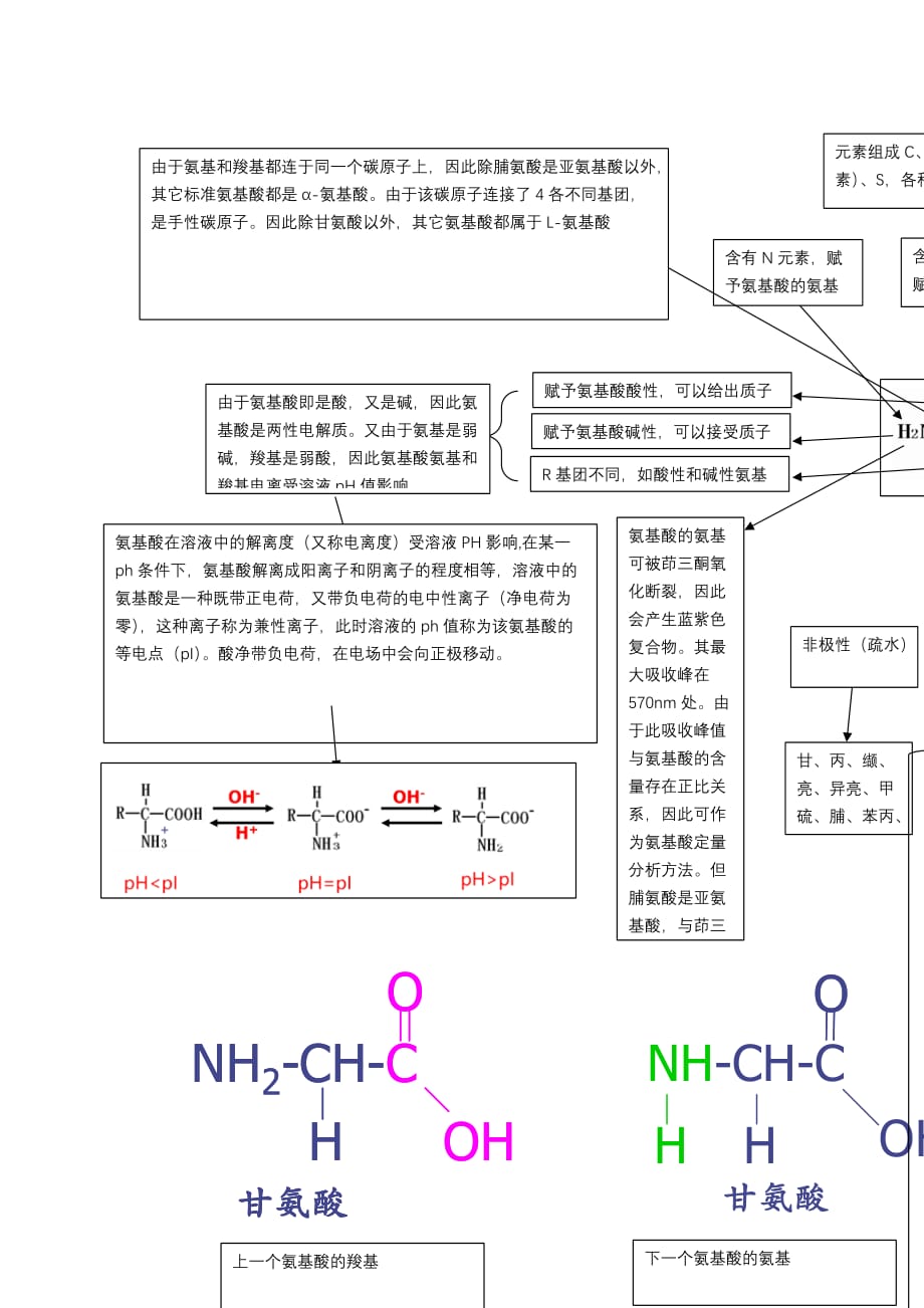蛋白质化学性质示意图思维导图全总结_第1页