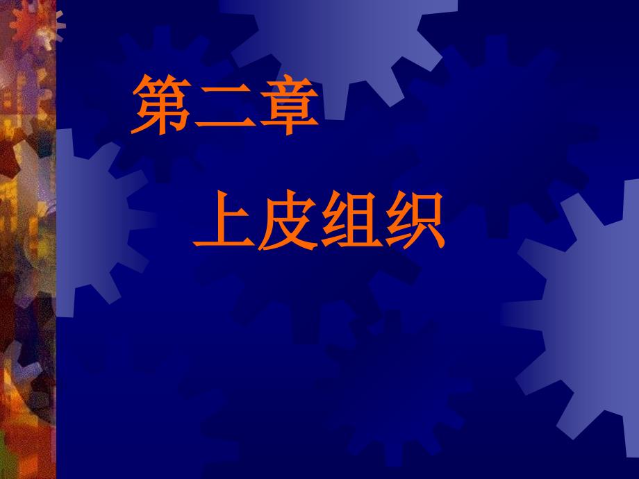 第二章上皮组织讲义资料_第1页