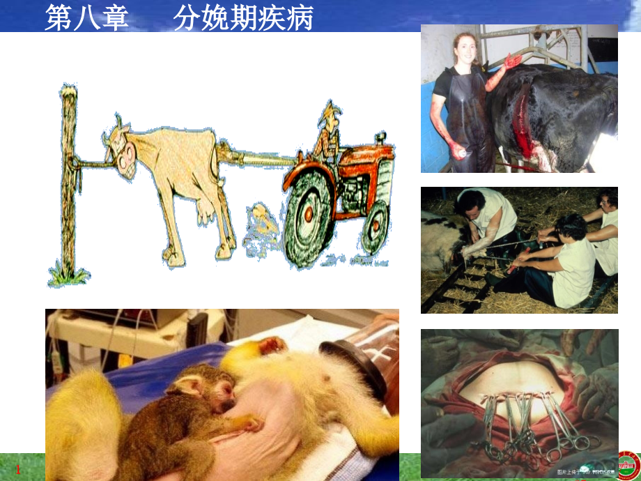 分娩期疾病培训教材_第1页