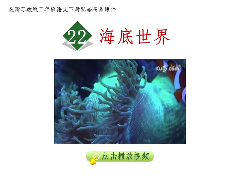 《海底世界》第一课时用ppt课件_第1页