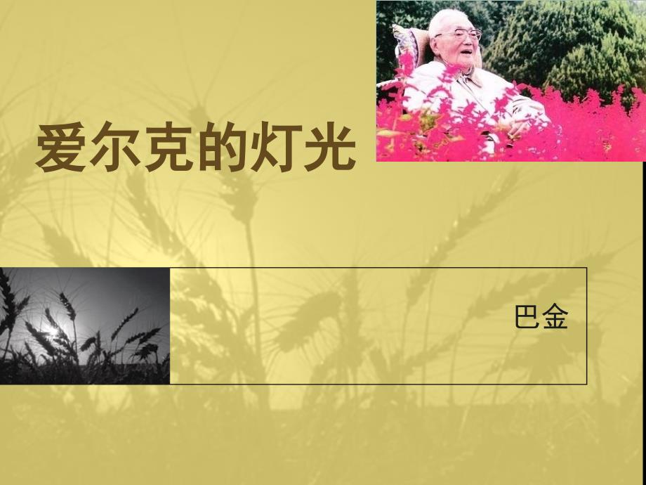 爱尔克的灯光剖析课件_第1页