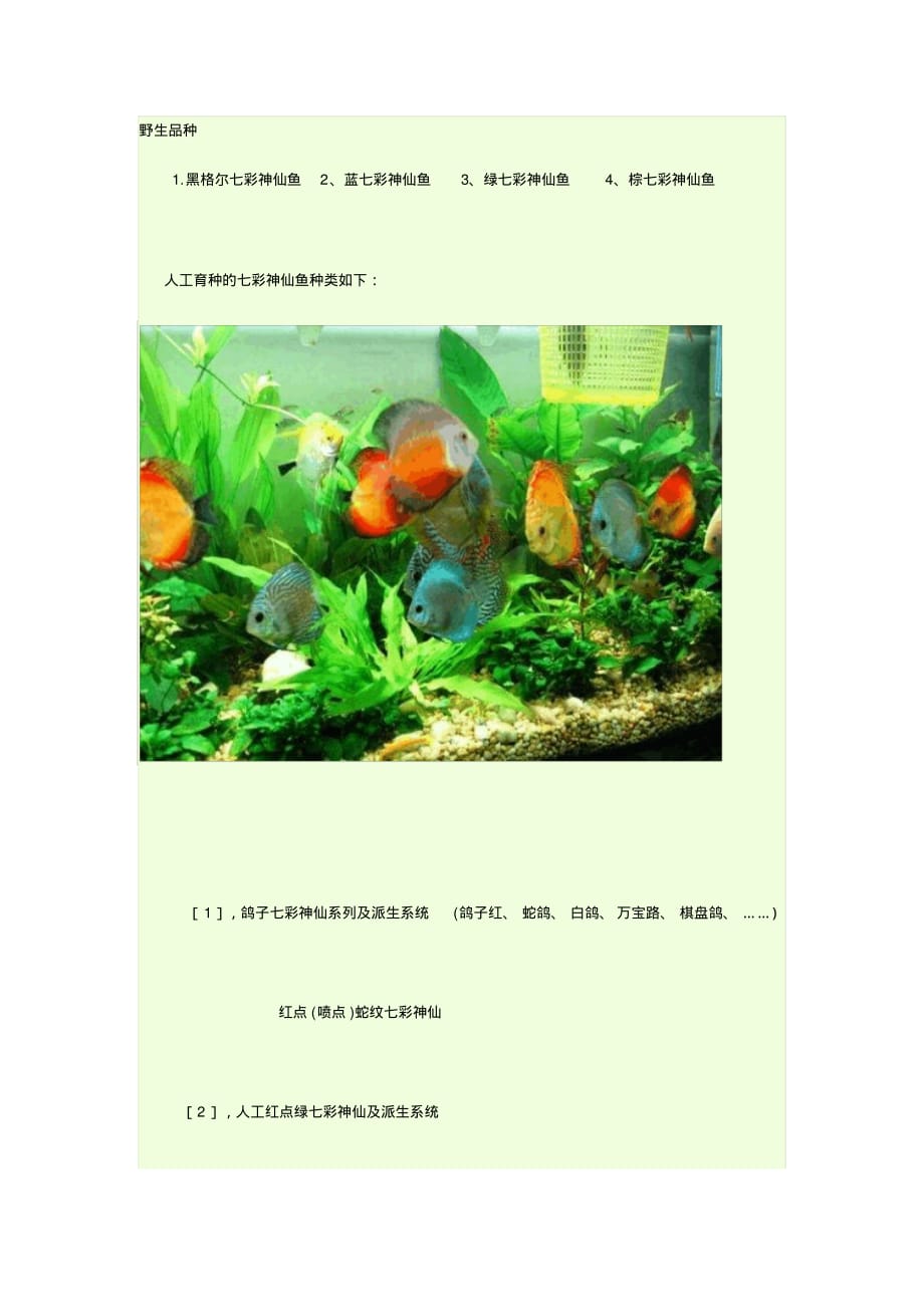 神仙鱼品种详解.pdf_第1页
