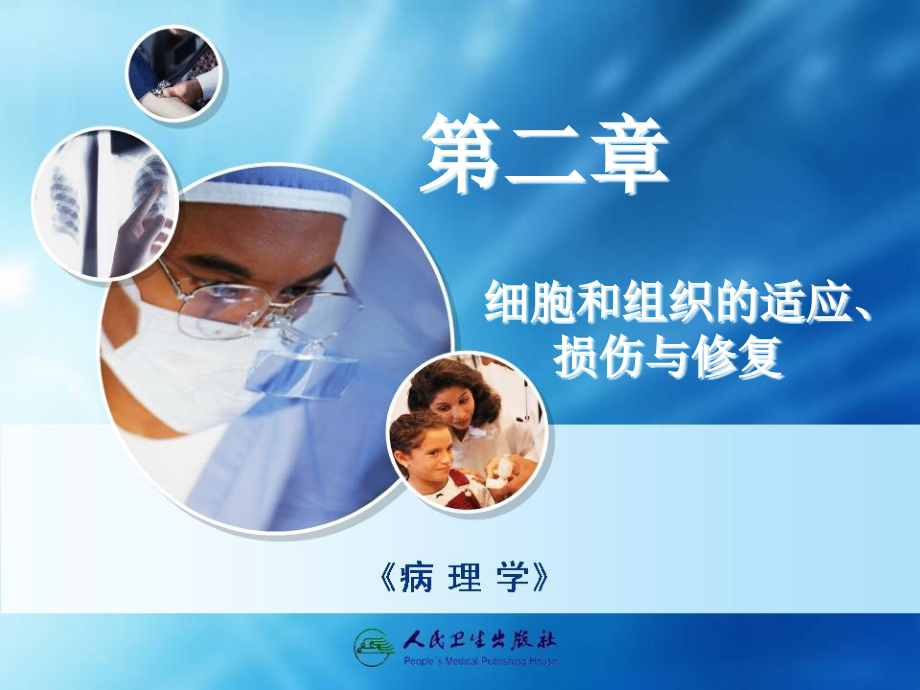 {企业组织设计}第02章组织适应损伤与修复_第1页