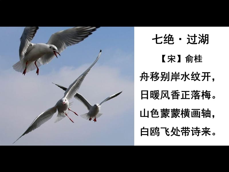 推荐老人与海鸥(非常好用)_第1页