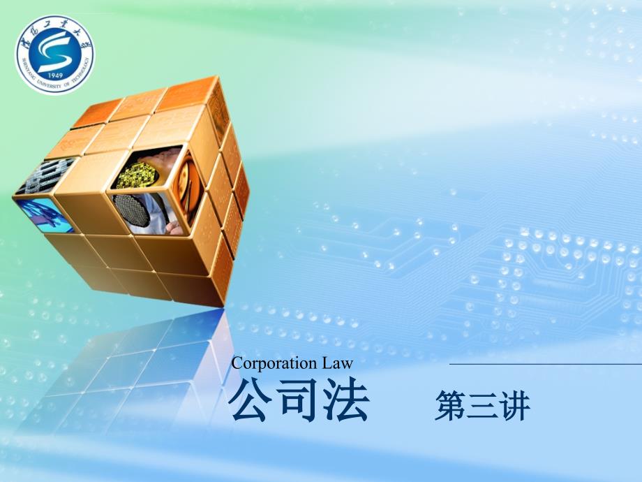 公司法课件3 第三章 公司的类型_第1页