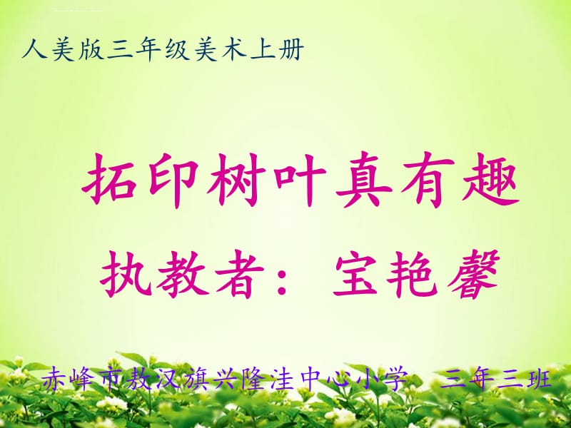 拓印树叶真有趣录像课件_第1页