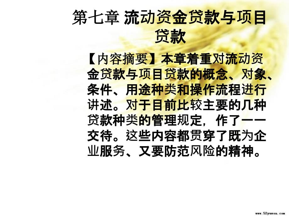 第七章流动资金贷款与项目贷款幻灯片资料_第1页