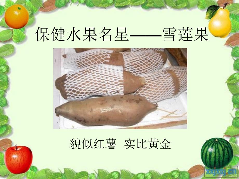 保健水果名星雪课件_第1页