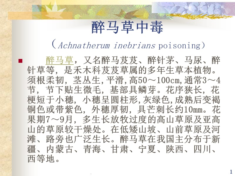 醉马草中毒PPT课件_第1页