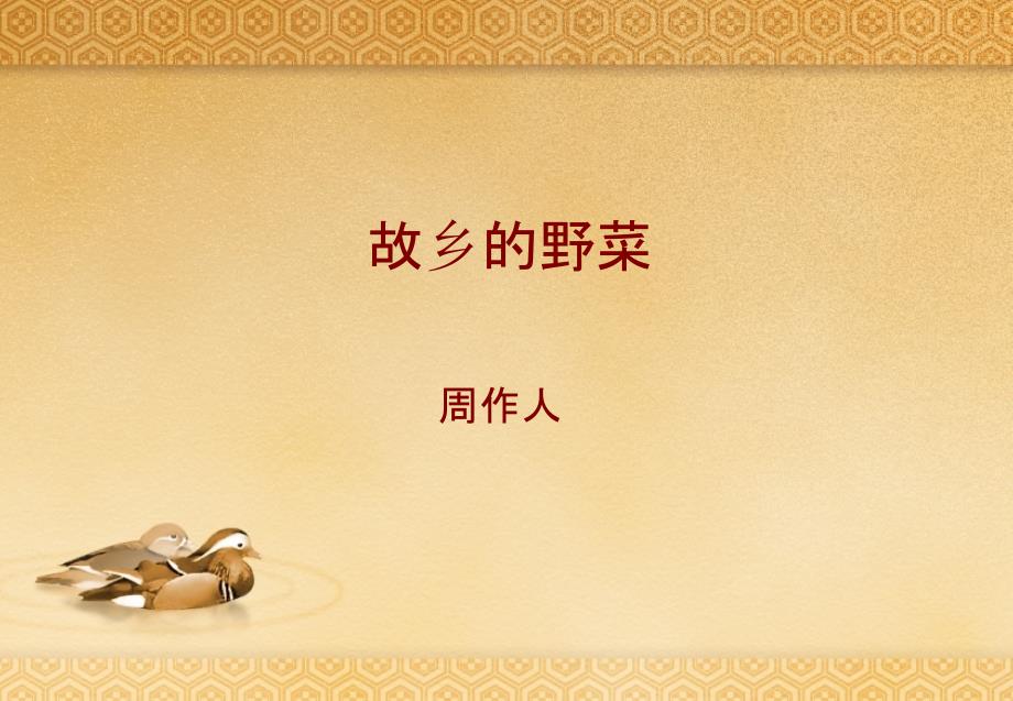 《故乡的野菜》课件_第1页