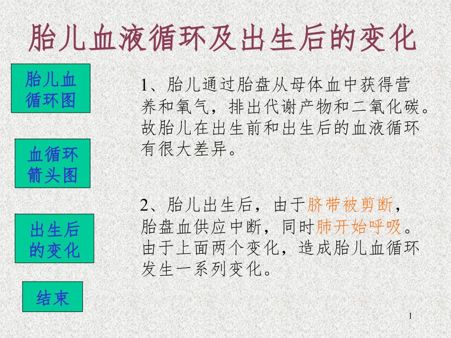 胎盘循环（课堂PPT）_第1页