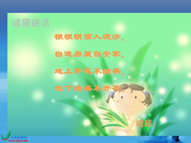 北师大版四年级语文《落花生》教学课件PPT_第1页