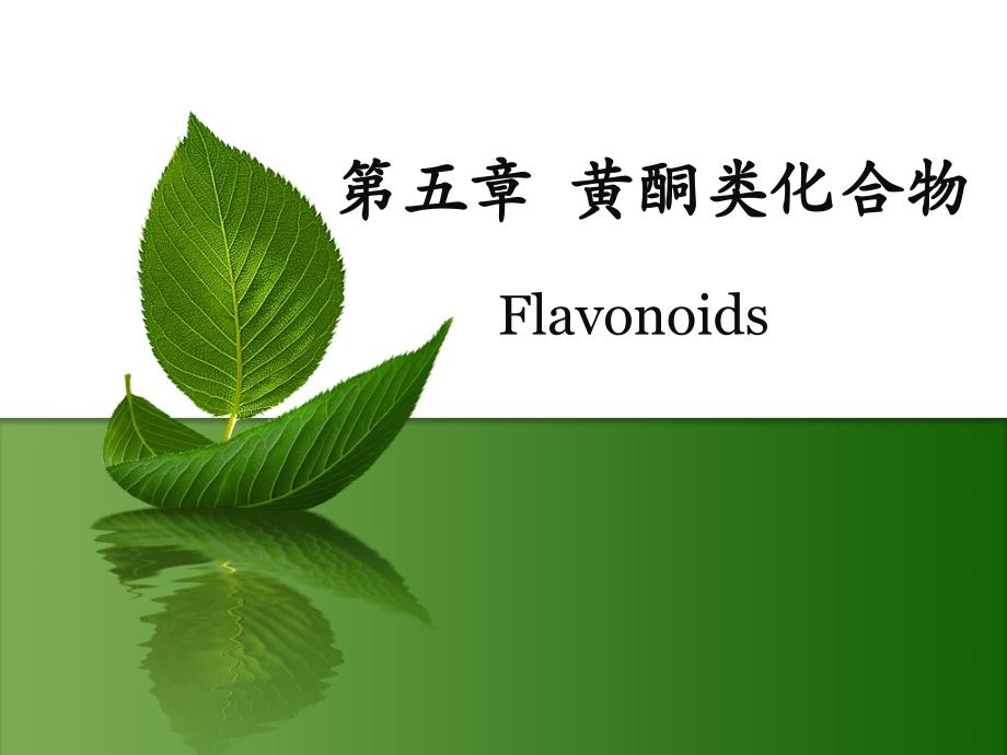 第五章黄酮类化合物_第1页