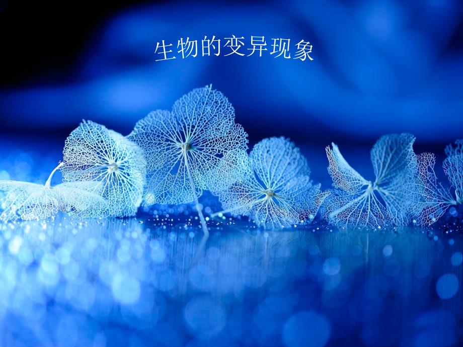 六年级科学 生物的变异现象._第1页
