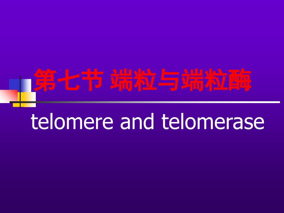 复制端粒与端粒酶课件_第1页