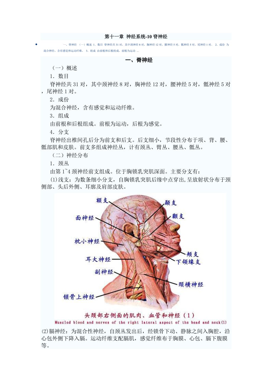 神经内科基本功10_第1页