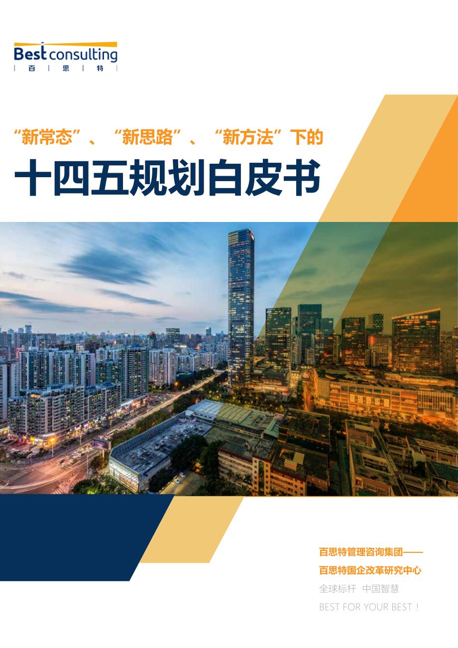 十四五规划白皮书-百思特-_第1页