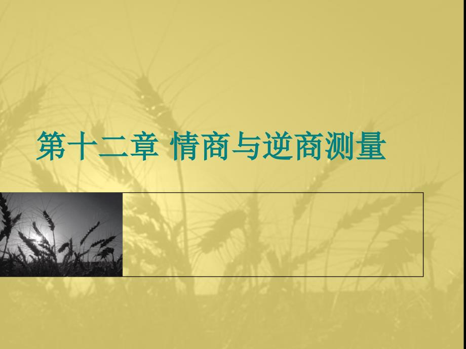 第十二章_情商与逆商测量_第1页