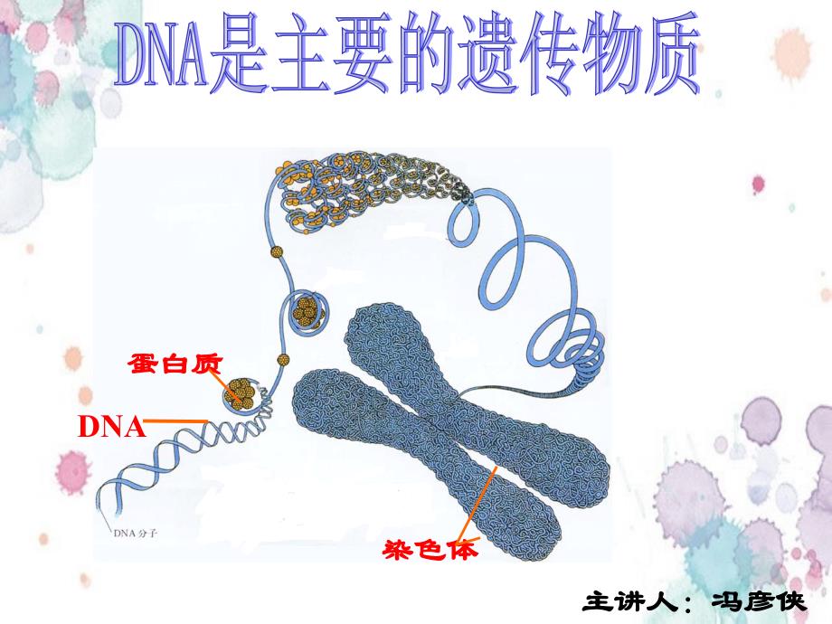 肺炎双球菌转化实验（最新编写）_第1页