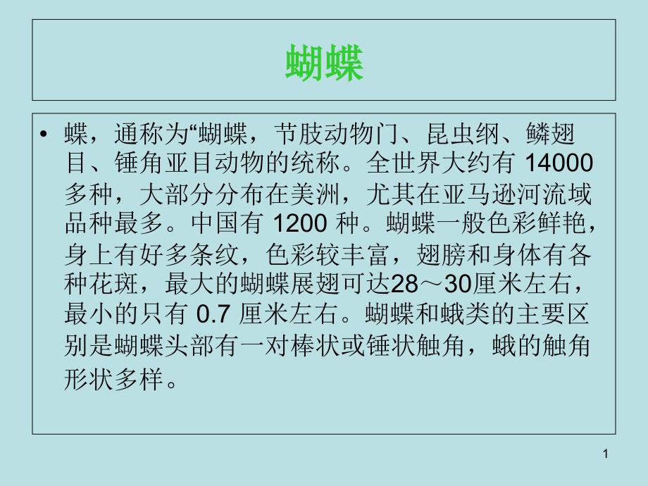 各种各样的蝴蝶（课堂PPT）_第1页