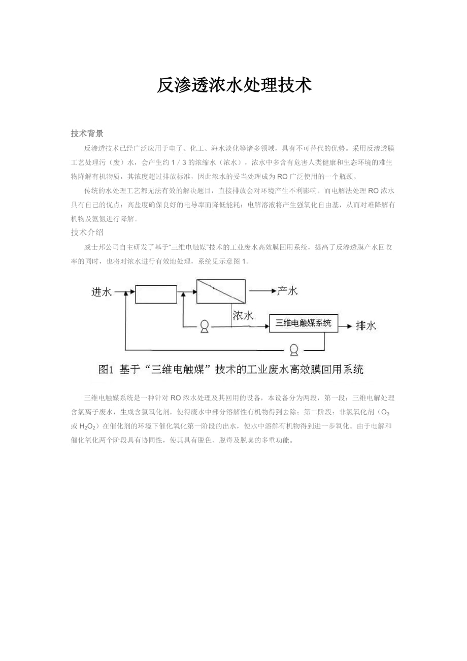 反渗透浓水处理技术_第1页