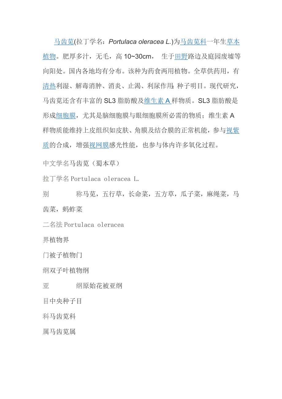 马齿苋的基本知识_第1页