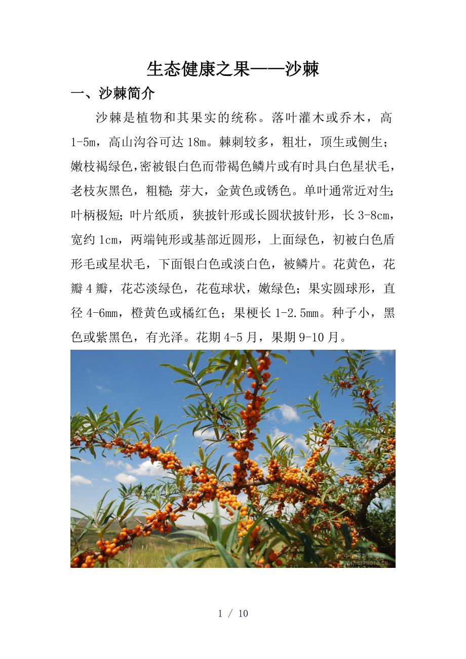 沙漠植物word版_第1页