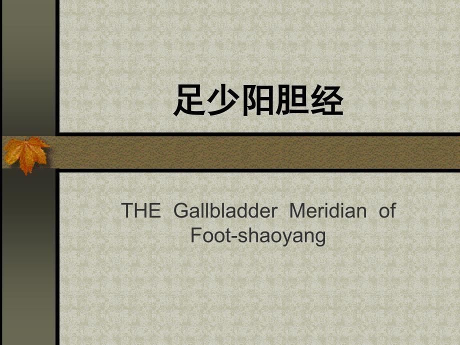 12经：胆经_第1页