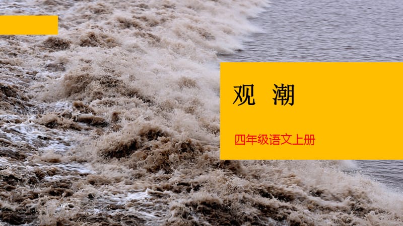3观潮-教学PPT课件-教学课件_第1页