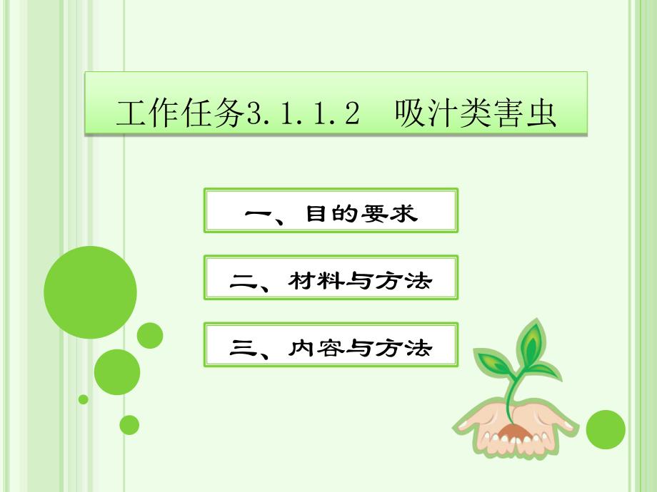 吸汁类害虫_第1页