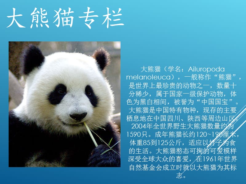 大熊猫介绍专栏_第1页