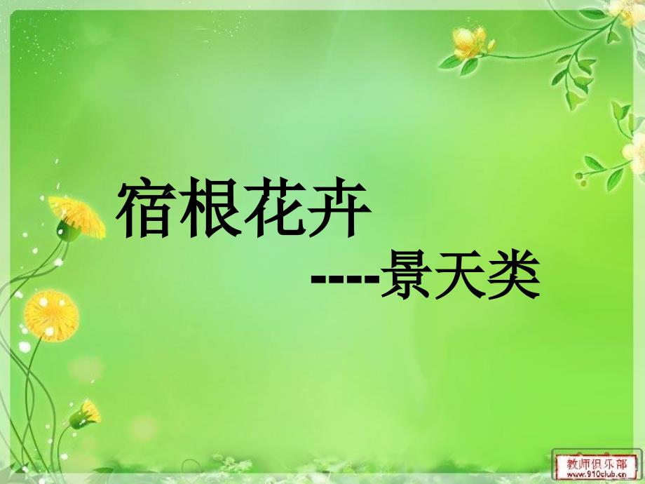 宿根花卉-景天类_第1页