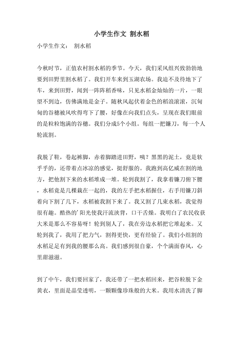 小学生作文 割水稻_第1页