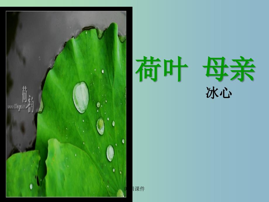 七年级语文上册 4《散文诗两首》荷叶 母亲 新人教版 - 副本_第1页