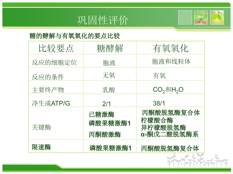 中职——生物化学课件PPT版 第八章脂类代谢_第1页