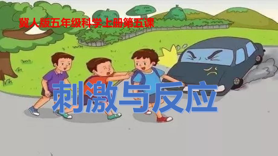 2021-2022学年 冀人版 五年级科学上册课件-第5课《刺激与反应》共18张_第1页
