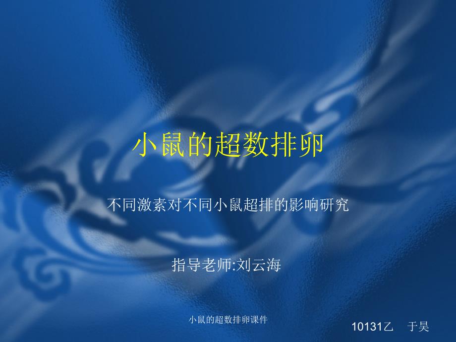 小鼠的超数排卵课件_第1页