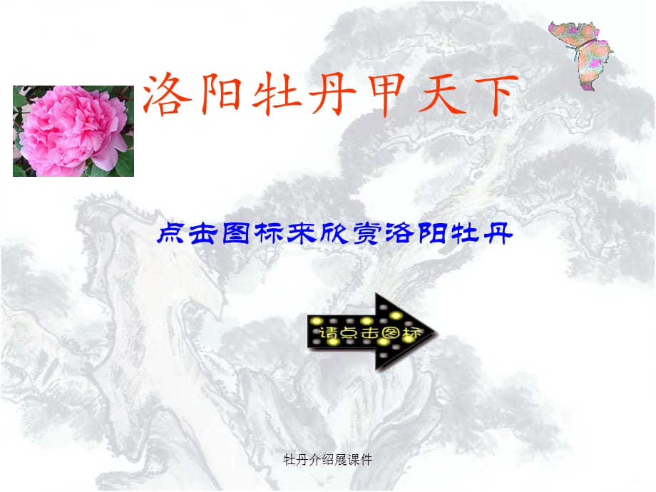 牡丹介绍展课件_第1页