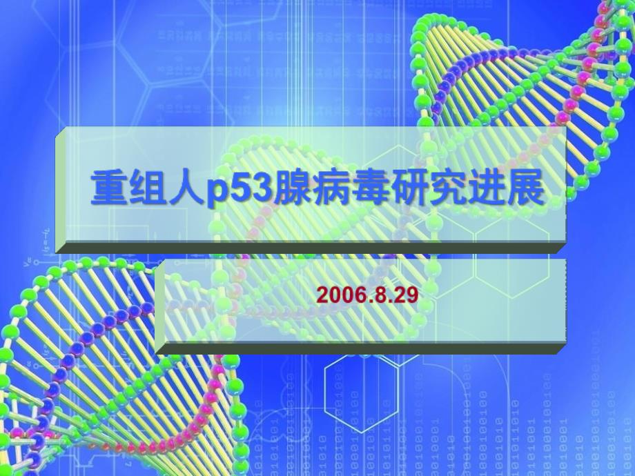 研究进展课件_第1页