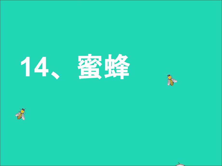 三年级语文上册 第四组 14蜜蜂课件 新人教版-新人教版小学三年级上册语文课件_第1页