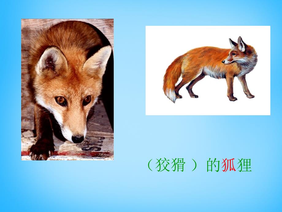 秋二年级语文上册《狐假虎威》课件1 沪教版-沪教版小学二年级上册语文课件_第1页