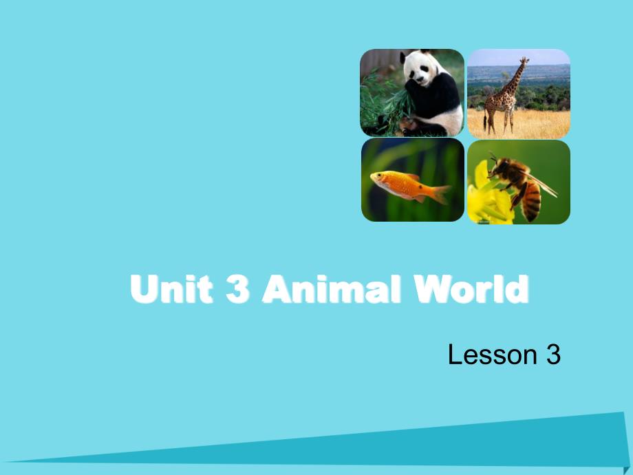 六年级英语上册 Unit 3 Animal World（Lesson 3）课件 人教新起点-人教新起点小学六年级上册英语课件_第1页